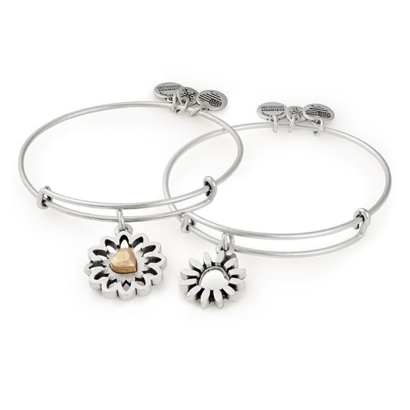 Alex and Ani Jewelry - NWT Alex & Ani Set of two bracelets in box